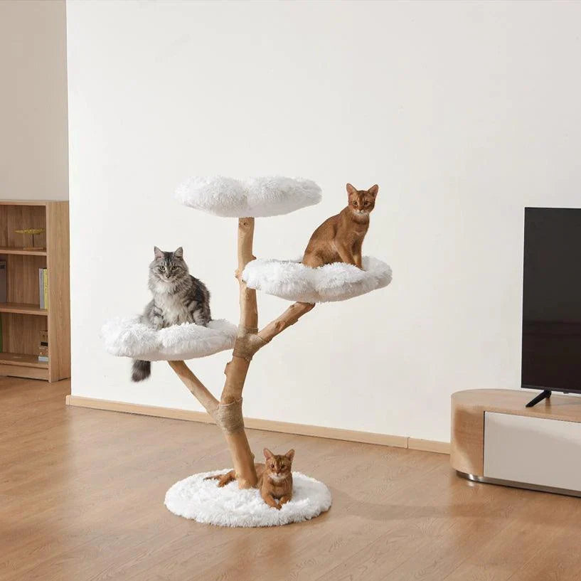 Cat Towers