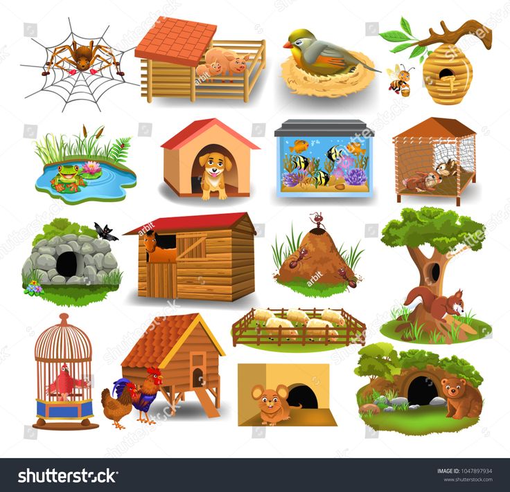 Pet Homes