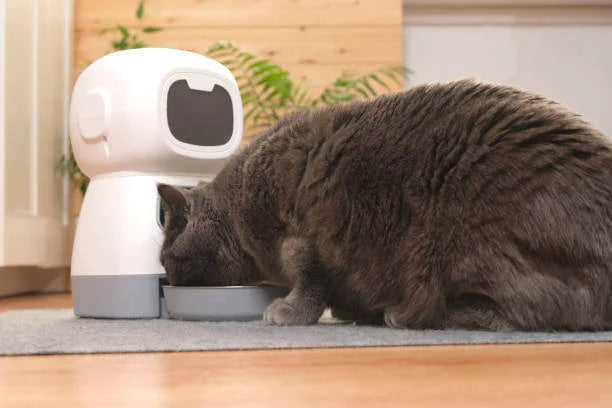 Pet Technology
