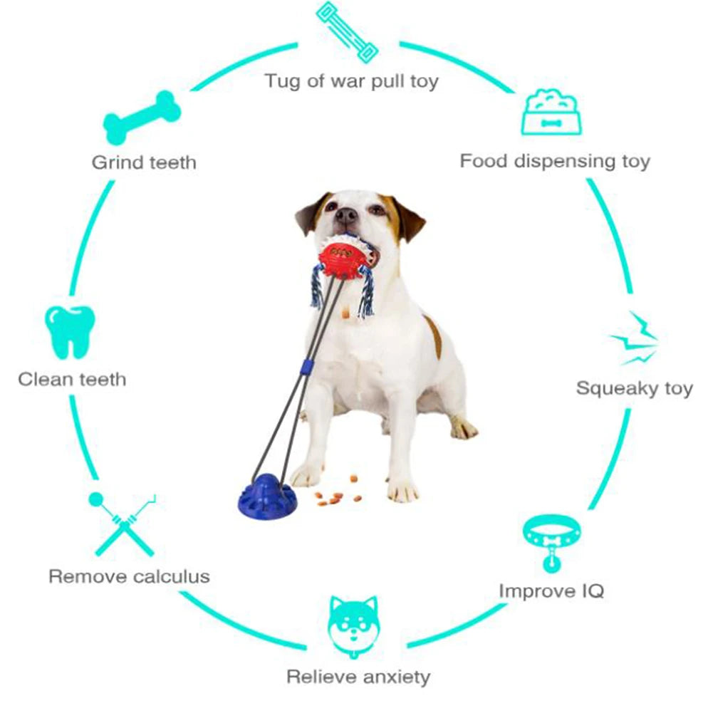 Dog Chew Molar Toy with Double Suction Cup Pet Aggressive Chewers Bite Interactive Squeaky Ball Toys