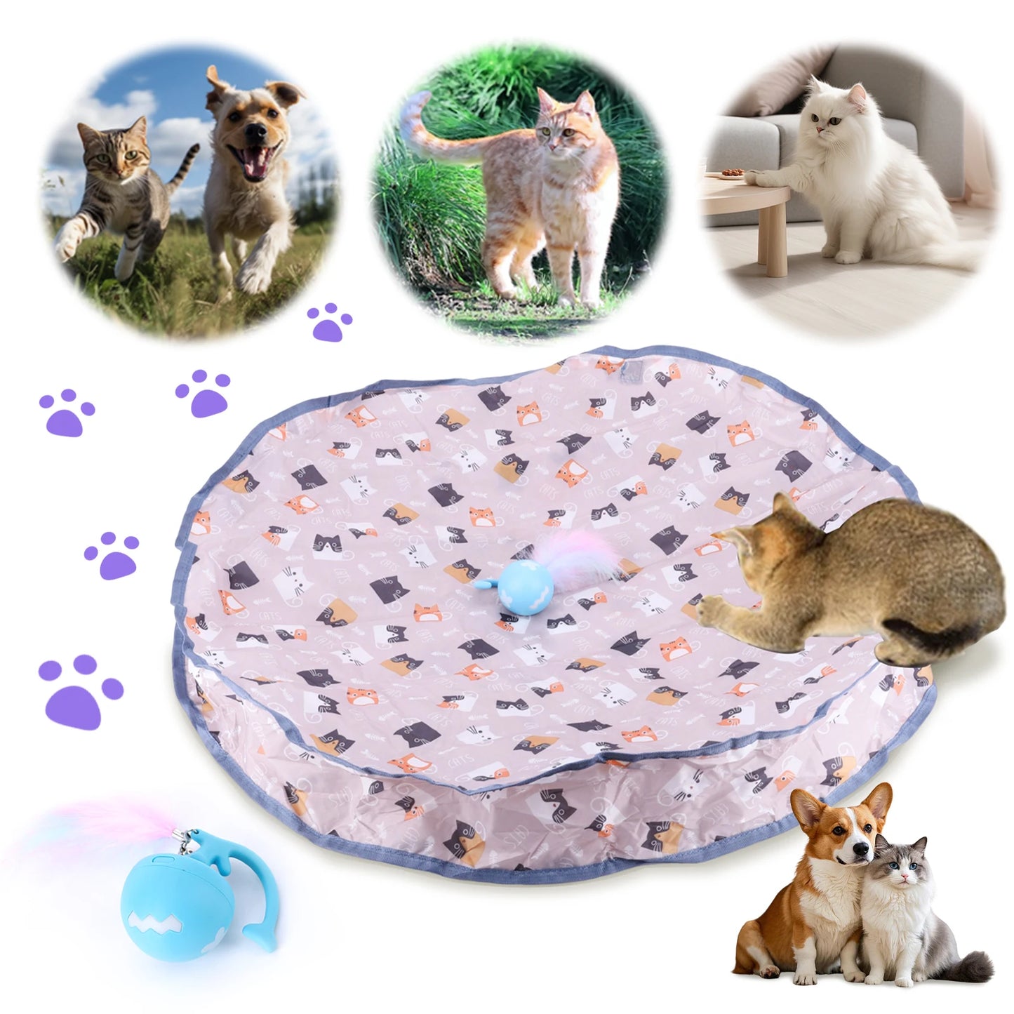 Interactive Cat Toy Wear Resist Mouse Catching Game Reusable Automated Cat Hunting Toy for Pet Hide and Seek Game Accessories