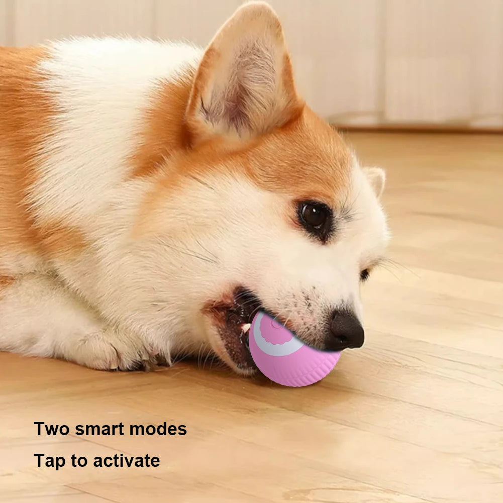 Rolling Cat Toys USB Rechargeable Smart Interactive Cat Toy ABS Intelligent Rolling Toy Ball for Indoor Playing