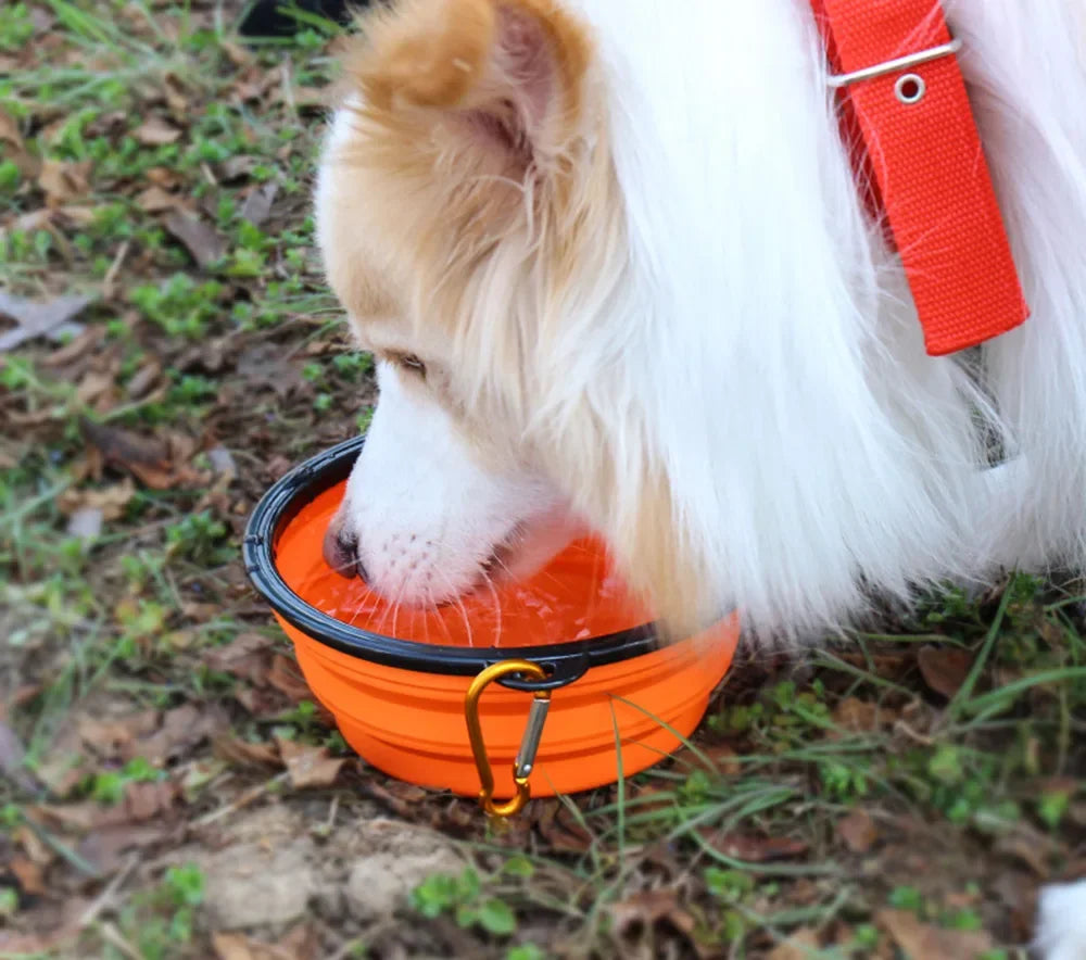 Collapsible Pet Silicone Dog Food Water Bowl Outdoor Camping Travel Portable Folding Pet Bowl Dishes with Carabiner Pet Supplies