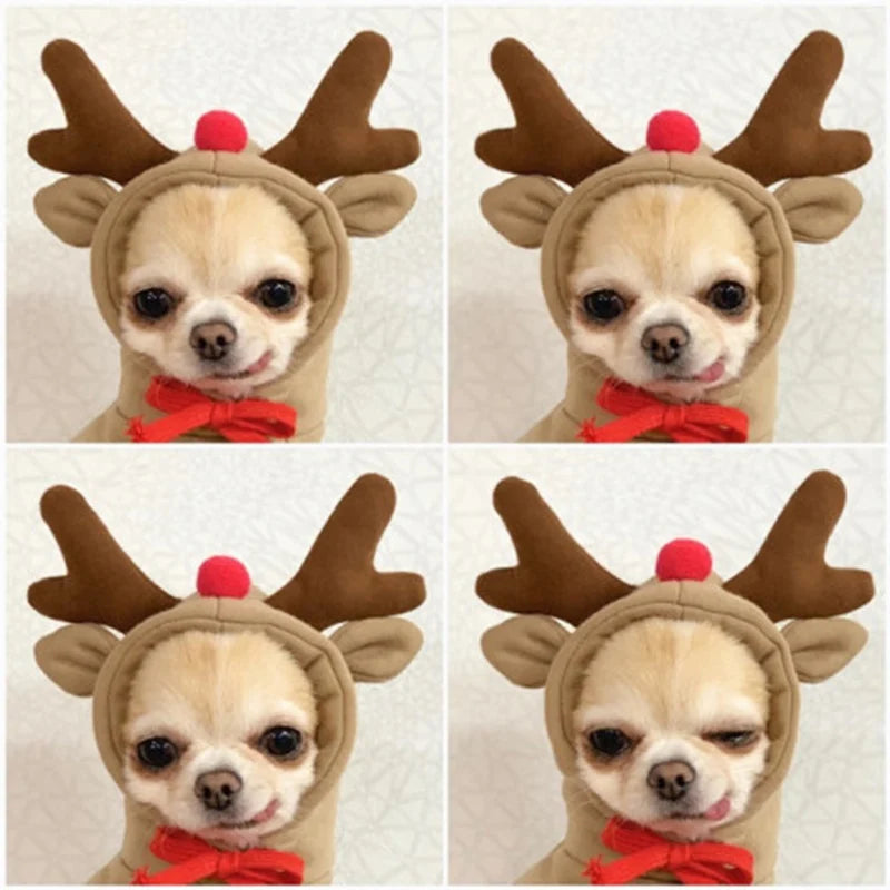 Winter Pet Hoodie Sweater Sports Cat Clothes for Cats Kitten Dog Pullovers Sweatshirt Fruit Animal Cosplay Pets Clothing Costume