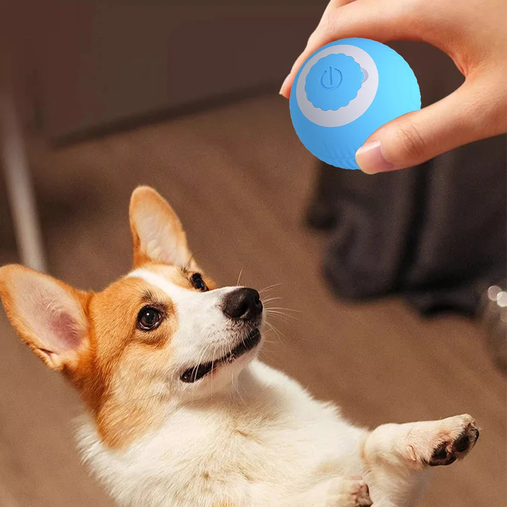 Rolling Cat Toys USB Rechargeable Smart Interactive Cat Toy ABS Intelligent Rolling Toy Ball for Indoor Playing