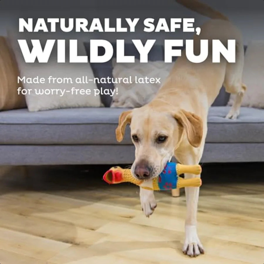 by Charming Pet Squawkers Earl Latex Squeaky Rubber Chicken Dog Toy Funny Interactive Holiday Toy for Dogs Large Size