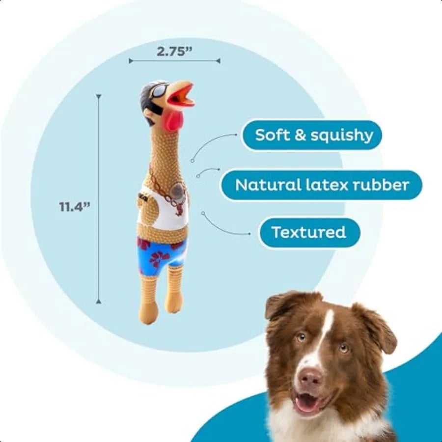 by Charming Pet Squawkers Earl Latex Squeaky Rubber Chicken Dog Toy Funny Interactive Holiday Toy for Dogs Large Size