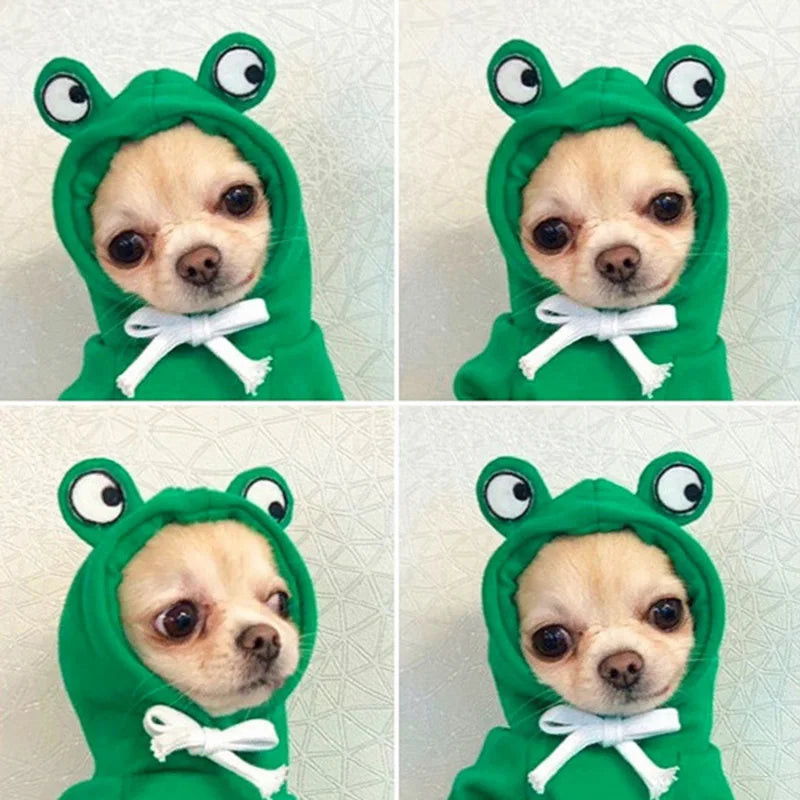 Winter Pet Hoodie Sweater Sports Cat Clothes for Cats Kitten Dog Pullovers Sweatshirt Fruit Animal Cosplay Pets Clothing Costume