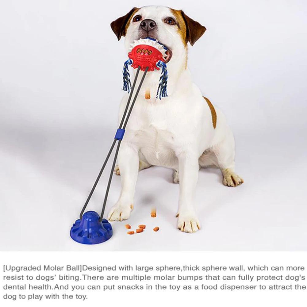 Dog Chew Molar Toy with Double Suction Cup Pet Aggressive Chewers Bite Interactive Squeaky Ball Toys