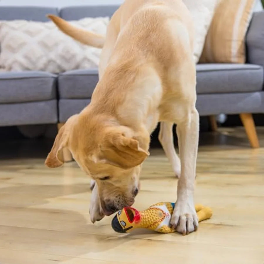 by Charming Pet Squawkers Earl Latex Squeaky Rubber Chicken Dog Toy Funny Interactive Holiday Toy for Dogs Large Size
