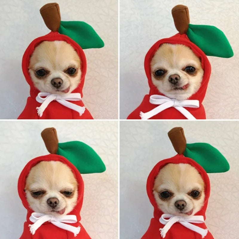 Winter Pet Hoodie Sweater Sports Cat Clothes for Cats Kitten Dog Pullovers Sweatshirt Fruit Animal Cosplay Pets Clothing Costume